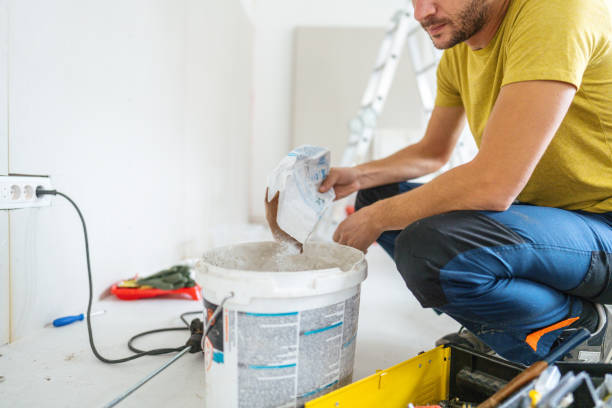 Best Emergency Mold Remediation  in Stryker, OH