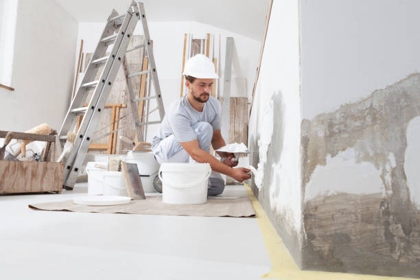 Best Mold Odor Removal Services  in Stryker, OH