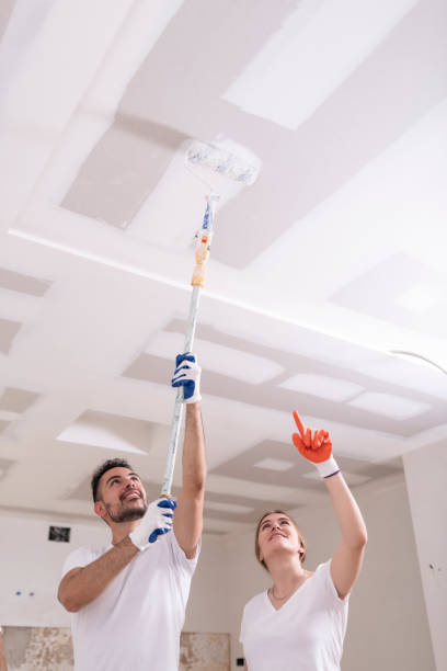 Best Basement Mold Removal  in Stryker, OH