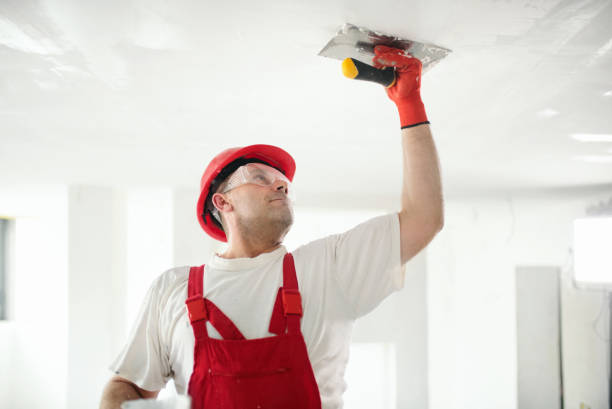 Best Emergency Mold Remediation  in Stryker, OH